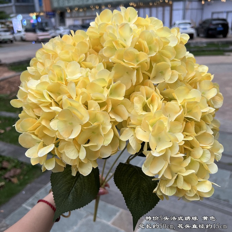 【シミュレーションアジサイ】外国貿易5頭フランスアジサイグリーンフランスアジサイ平が結婚祝いの花卸売りをしている|undefined