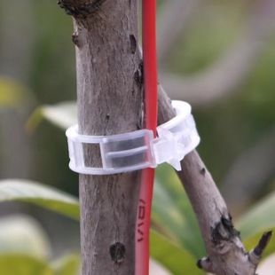 Green Fruit Tree Plant Fixed Clip Buckle Vine Holder Seedling Climbing Vine Support Rod Fruit and Vegetable Seedling Hanging Seedling Clip