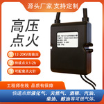 220V脉冲点火器壁挂炉暖风机地暖锅炉用点火变压器
