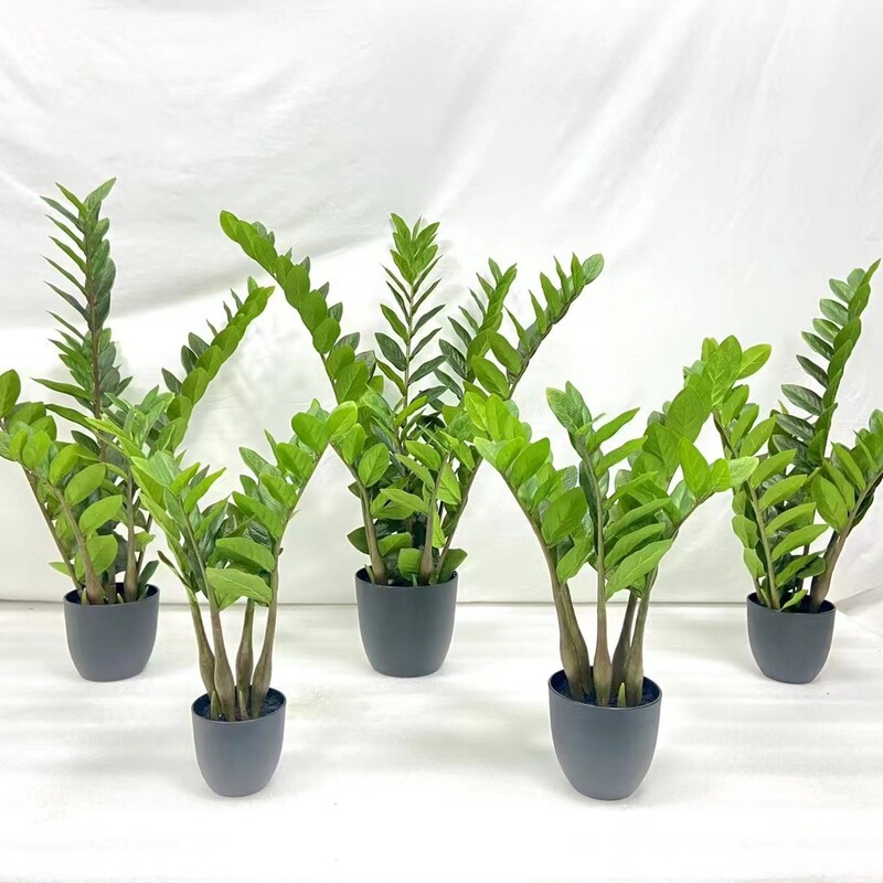 Foreign trade simulation money tree bonsai fake plant money leaf potted plant indoor and outdoor floor decoration green plant wholesale Foreign trade simulation money tree bonsai fake plant money leaf potted plant indoor and outdoor floor decoration green plant wholesale