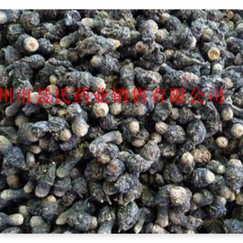 其他药食同源;参类滋补品;三七