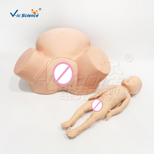 advanced midwifery training model medical skill training model