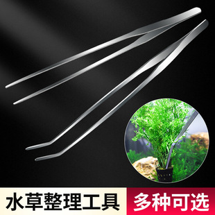 Stainless steel water grass tweezers lengthened straight tweezers curved tweezers fish tank landscaping feeding turtle feeding aquarium grass tweezers wholesale