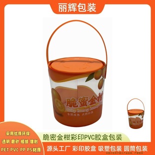 Lihui Packaging Source Factory Customized Crispy Honey Kumquat Color Printed Pvc Plastic Box Packaging with Portable Display to Show Class