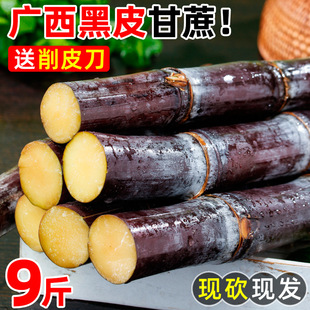 ���ڏV����Ƥ�������rˮ�����������������ե֭�ǝ{��U������]