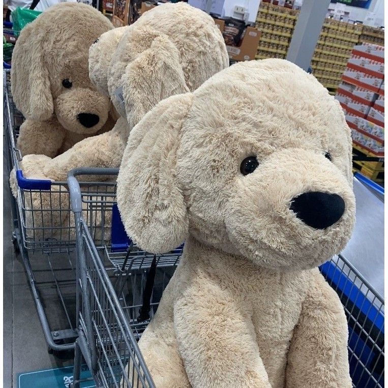 サム犬ぬいぐるみ人形大型漫画人形かわいいゴールデンレトリバー犬枕卸売誕生日男性と女性|undefined