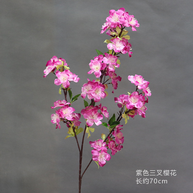 Una flor de cerezo de tres puntas moradas