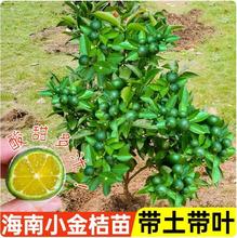 ����С��ۘ����̲�ꌣ��С��ۼ޽ӽ�ۙ��ʹ����Ә����ļ��ɷN