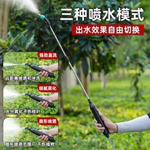 ʽ늄ӇF¿ؼórÝșC