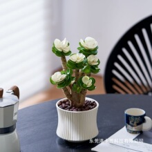 ���Xľ�Ϙ�����ֲ�������҃��ļ����B��lؔ��Gֲ�k�������滨��