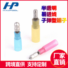 HAMPOOL���l��s�ӏ��^�������M���~�׷���������R�d�Ӿ�������