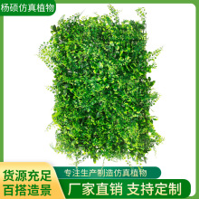 ����ֲ��Gֲ����ֲ���쾰�����b��T�^�����ƺ�������ϱ���