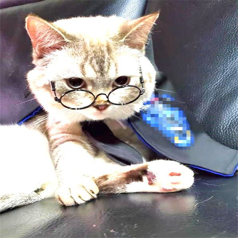 블루 매직 망토