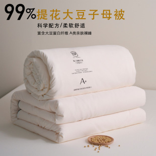 Class A 99% soybean fiber quilt thickened winter quilt warm spring and autumn quilt 10kg machine washable summer quilt air conditioning quilt
