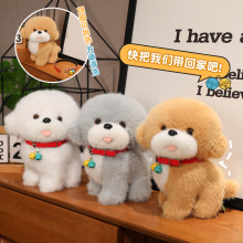 ���ȹ���ë�޹��пɰ�������麢ͯŮ��������Ŵ�ڼ��ػҰ׹���Ʒ