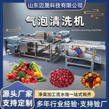 全自动果蔬气泡清洗机 商用高压喷淋洗菜机 净菜加工成套流水线