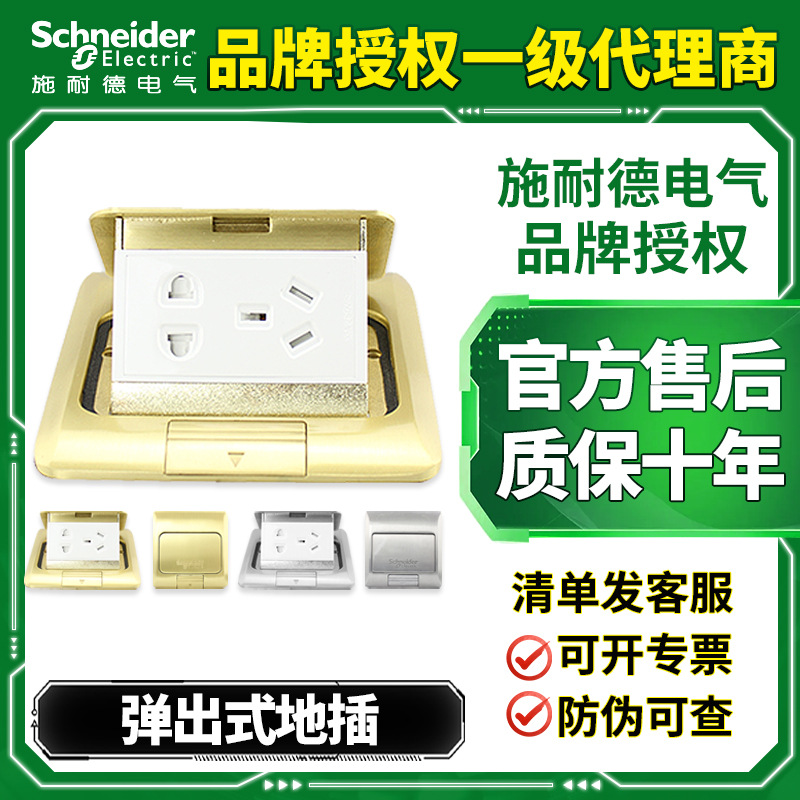 댐핑 전화 컴퓨터 플러그인 접지 소켓이있는 Schneider 플러그인 팝업 모든 구리 방수