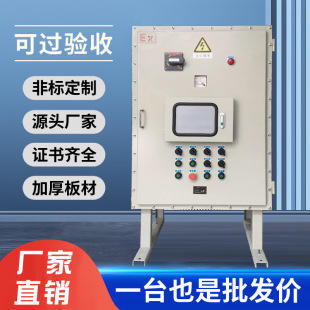 Carbon steel stainless steel aluminum alloy explosion-proof control cabinet explosion-proof wiring maintenance power distribution cabinet explosion-proof touch screen electric box