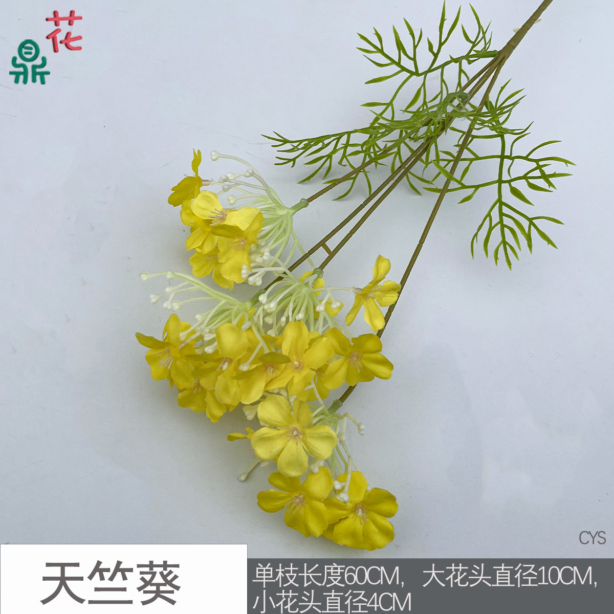 제라늄 CYS 다크 옐로우