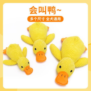 ������߽␞�l��ҧ��ë����ȮС���»����������w����Ʒ�_�h��