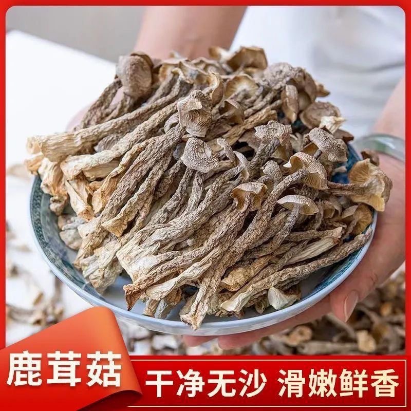 新入荷 鹿の角茸 乾物 鹿の角茸 鹿耳茸 卸売キノコ キノコスープ 炒め物 乾物 家庭用 業務用|undefined