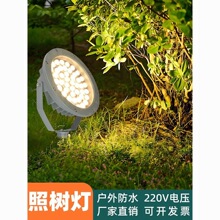 �����՘�����Ͷ�����ˮ���@��ͥԺͶ����߲ʾ��^�������