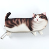 Realistic cute children's pencil case for elementary school students suitable for men and women, cat, Korean style, wholesale