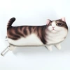 Рыжий кот
