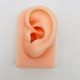 Liquid Soft Silicone Simulated Human Ear Ear Model Tattoo Piercing Piercing Ear Hole Practice Jewelry Display Stand