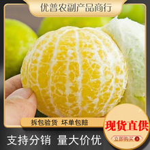 ���ՏV�̽����rˮ��ؕ��/����ٱ�Ƥ���l���ӽ���