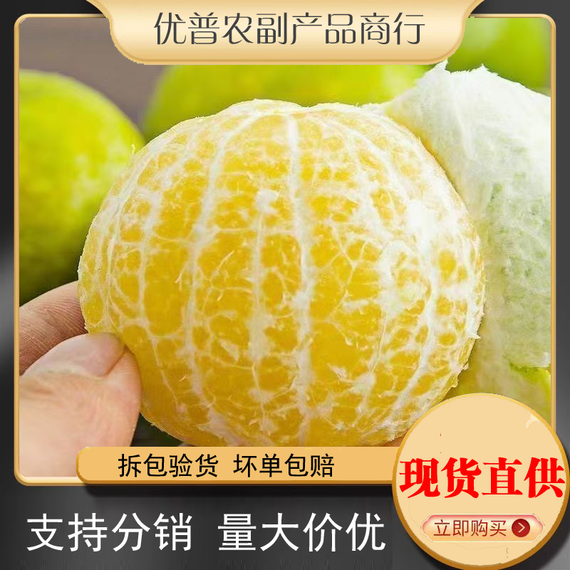 优普广柑斤新鲜水果贡柑/斤柑橘薄皮批发橘子桔子