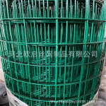 荷兰网加粗硬塑铁丝网围栏拦鸡专用养鸭养殖网小孔包塑护栏网