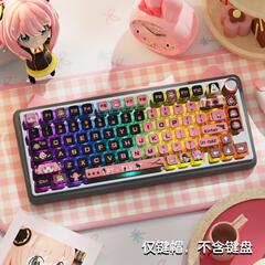 韓国の売れ筋スパイプレイハウステーマキーキャップ四面半透明昇華カスタマイズMSA高さキーボード