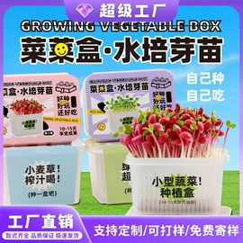 中性笔;橡皮擦;笔袋