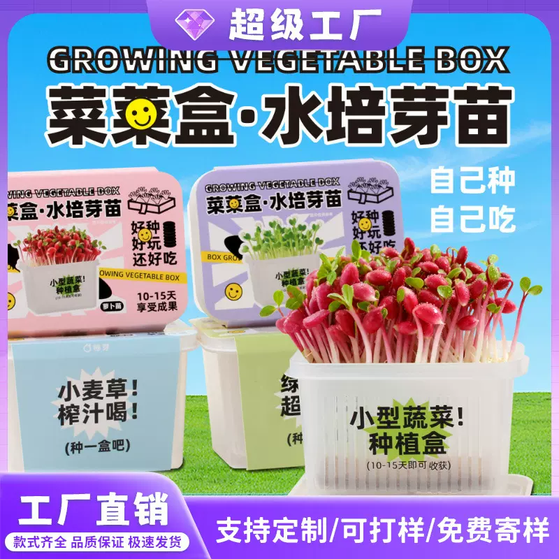 创意盆栽儿童无土水培育种植玩具学生科学实验植物观察盒logo定制