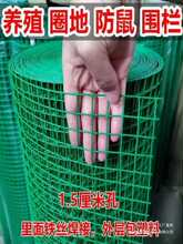 防鼠防锈小孔铁丝网养殖鸡鸭网猫鸽兔阳台防护网果园菜园圈地围栏