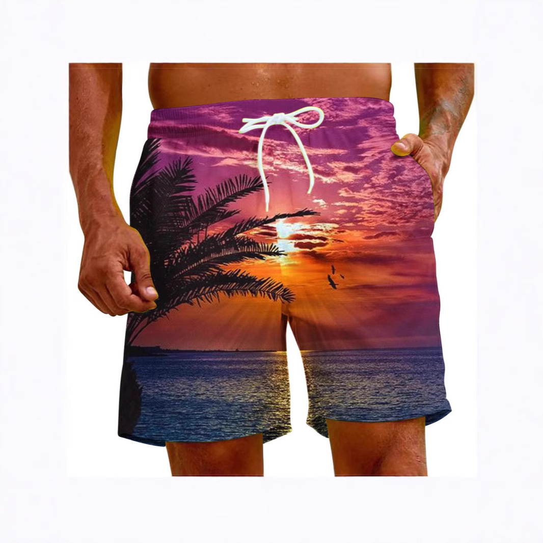 2026Tk Men's Beach Shorts Cross-Border Summer New Loose Casual Shorts Factory Outdoor Sports