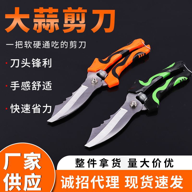 双色柄抛光锋利剪子舒适手柄洋葱蒜头剪农用工具厂家批发大蒜剪刀