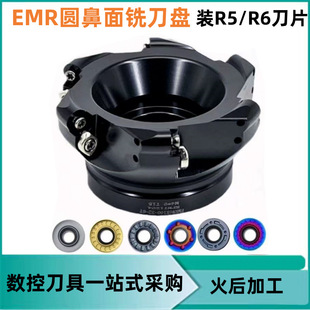���ص��PEMRƽ��PR5/R6�A�ǵ�50/63/80/RPMT1204��Ƭ