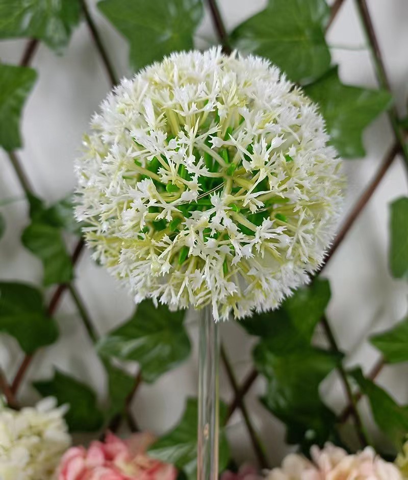 양파볼 싱글헤드 투명봉(따뜻함)