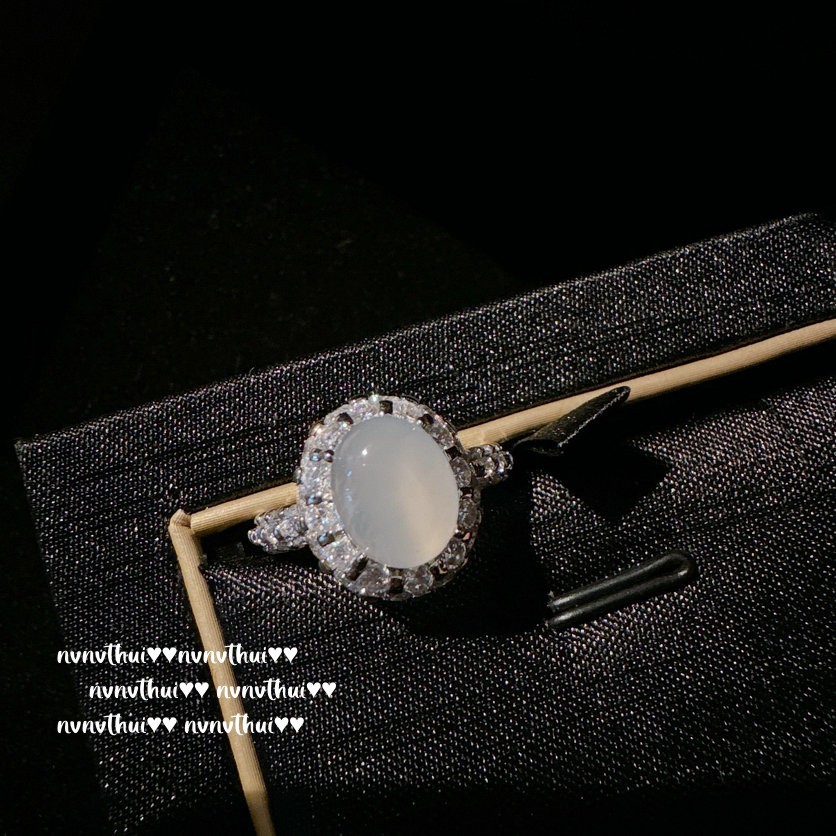 IMG_2929(20240109-231019)