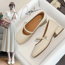 ������ЬŮЬ2024�괺���¿�r�Ѓ��ŷ����͸����_�A�^���s�����L