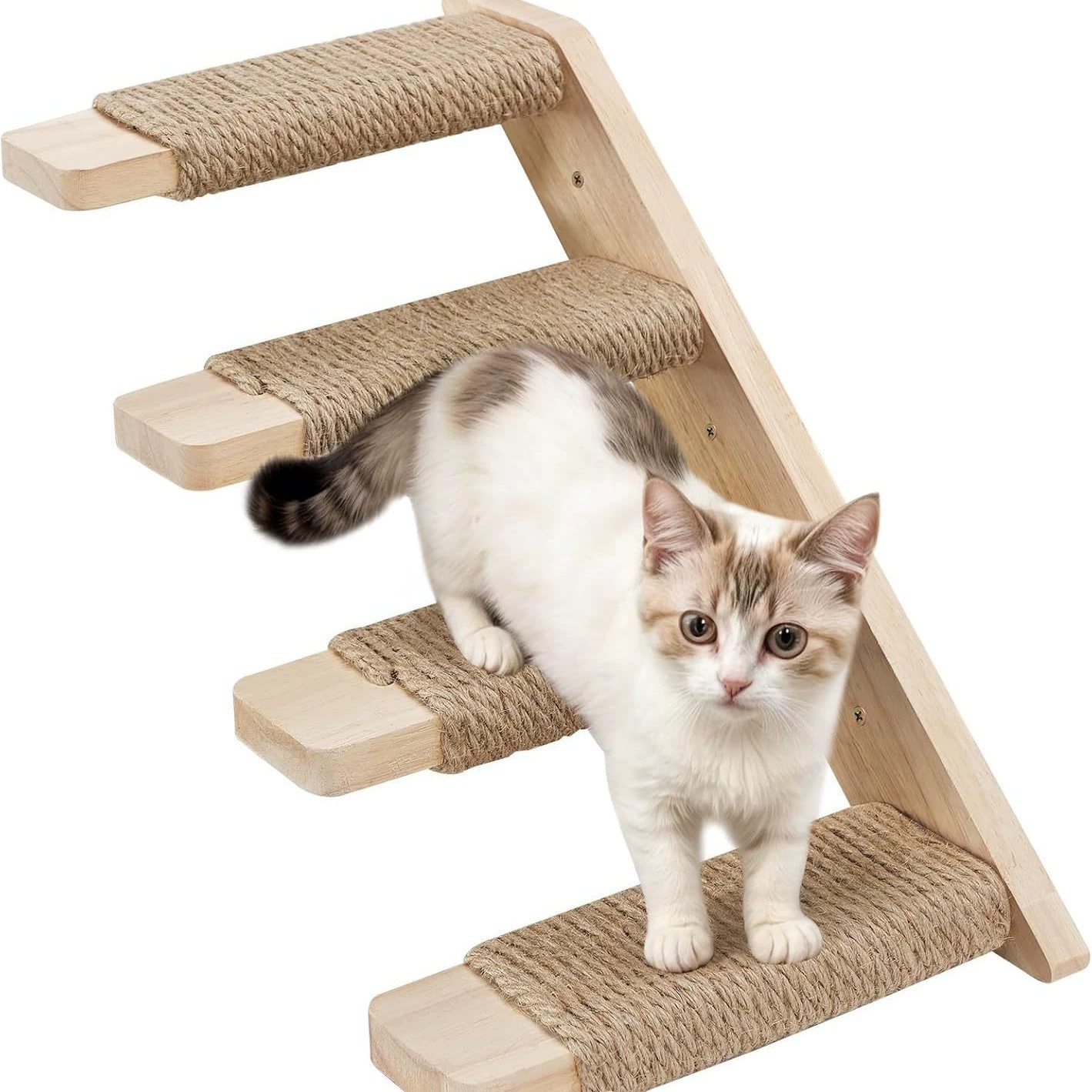 Домашняя кошка подниматься по лестнице Настенная подставка для скалолазания для скалолазов для скалолазания