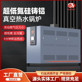 蒸汽发生器;燃气锅炉;电热锅炉