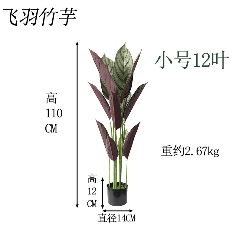 飞羽12叶高110cm.jpg