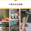 Plant lamp, small creative gel pen for elementary school students for beloved, Birthday gift