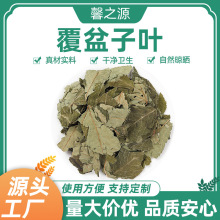 覆盆子叶药材新鲜各种规格可按客户要求加工中草药覆盆子叶