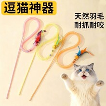 新款弹力逗猫棒网管毛球羽毛逗猫虫瘿果玩具互动自嗨解闷猫咪玩具
