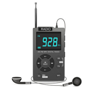 ��yʽDSP���w�����C�{�l�{��AM����ĻFM�忨MP3�S�� �ڴ��C