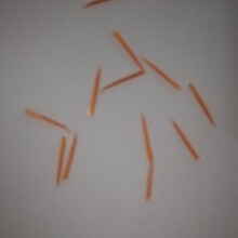 ���Iëˢֲë�ӹ������yëˢ�۾�����ˢ���Iˢ��ϴĘˢ���坍ëˢ